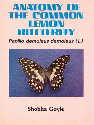 cover image of Anatomy of the Common Lemon Butterfly Pupillo Demoleus Demoleus (L)